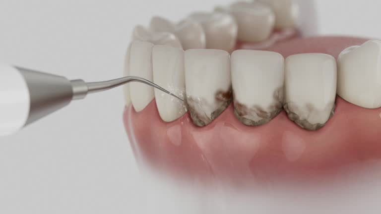Reliable Dental contractor in Frankston, TX by Dentist Open Now